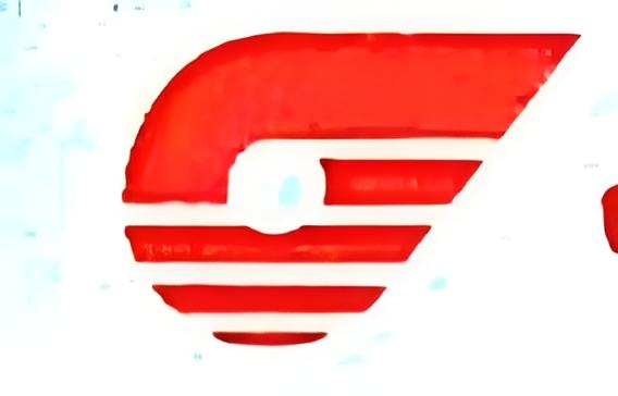 南充公共交通责任有限公司